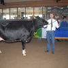Wintershow_NH_2014_020