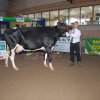 Wintershow_NH_2014_023