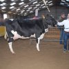 Wintershow_NH_2014_027