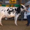 Wintershow_NH_2014_038
