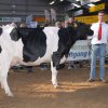 Wintershow_NH_2014_064