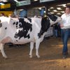 Wintershow_NH_2014_070