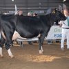 Wintershow_NH_2014_071
