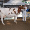 Wintershow_NH_2014_072