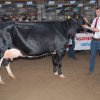 Wintershow_NH_2014_073