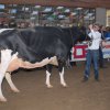 Wintershow_NH_2014_074