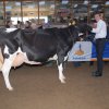 Wintershow_NH_2014_075