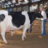 Wintershow_NH_2014_077