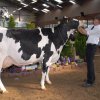 Wintershow_NH_2014_085