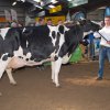 Wintershow_NH_2014_093