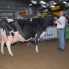 Wintershow_NH_2014_094