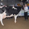 Wintershow_NH_2014_095