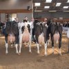 Wintershow_NH_2014_100