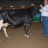 Wintershow_NH_2015_004