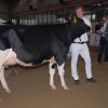Wintershow_NH_2015_007