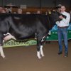Wintershow_NH_2015_025