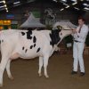 Wintershow_NH_2015_027