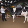 Wintershow_NH_2015_031