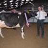 Wintershow_NH_2015_034