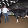 Wintershow_NH_2015_035
