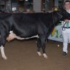 Wintershow_NH_2015_042