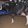 Wintershow_NH_2015_051