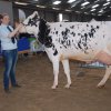 Wintershow_NH_2015_057