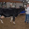Wintershow_NH_2015_059