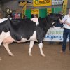 Wintershow_NH_2015_064