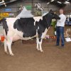 Wintershow_NH_2015_069
