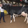 Wintershow_NH_2015_075