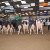 Wintershow_NH_2015_097