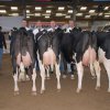 Wintershow_NH_2015_099