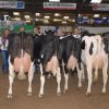 Wintershow_NH_2015_102