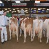 Wintershow_NH_2015_104