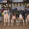 Wintershow_NH_2015_106