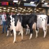 Wintershow_NH_2015_107
