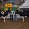 Wintershow_NH_2015_108