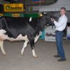 Wintershow_NH_2016_001