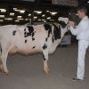 Wintershow_NH_2016_002