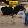 Wintershow_NH_2016_003