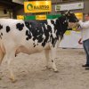 Wintershow_NH_2016_004
