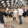 Wintershow_NH_2016_006
