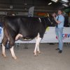 Wintershow_NH_2016_011
