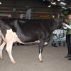 Wintershow_NH_2016_013