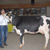 Wintershow_NH_2016_017
