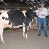 Wintershow_NH_2016_018