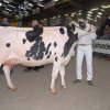 Wintershow_NH_2016_019