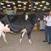 Wintershow_NH_2016_020
