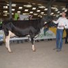 Wintershow_NH_2016_023